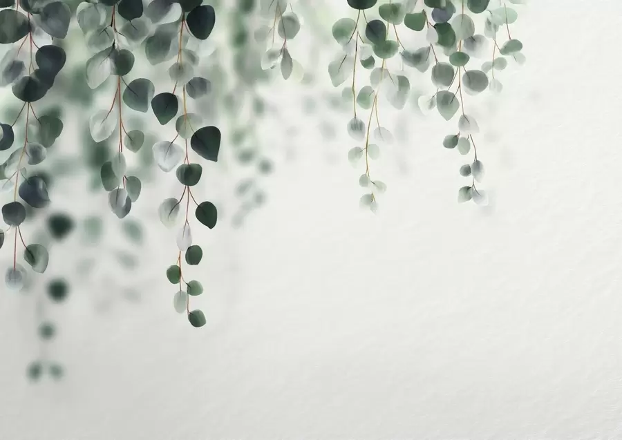 murales Eucalipto cayendo sobre un fondo claro w04393