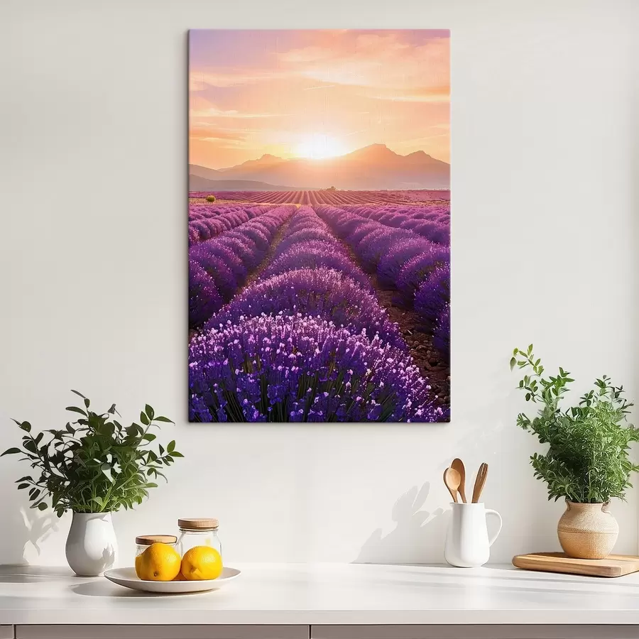 murales Puesta de sol en un campo de lavanda s45663