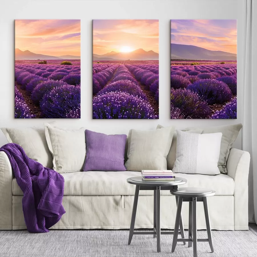 murales Puesta de sol en un campo de lavanda m00785