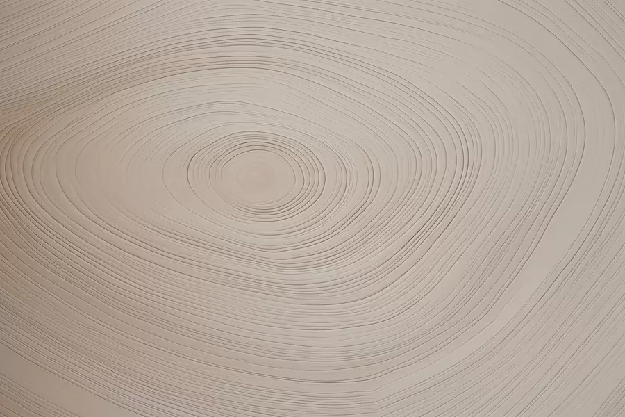 peintures murales Texture du bois w04643