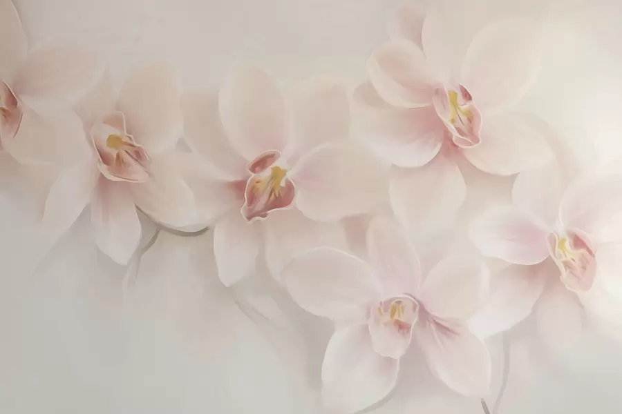wall murals Orchids w04723