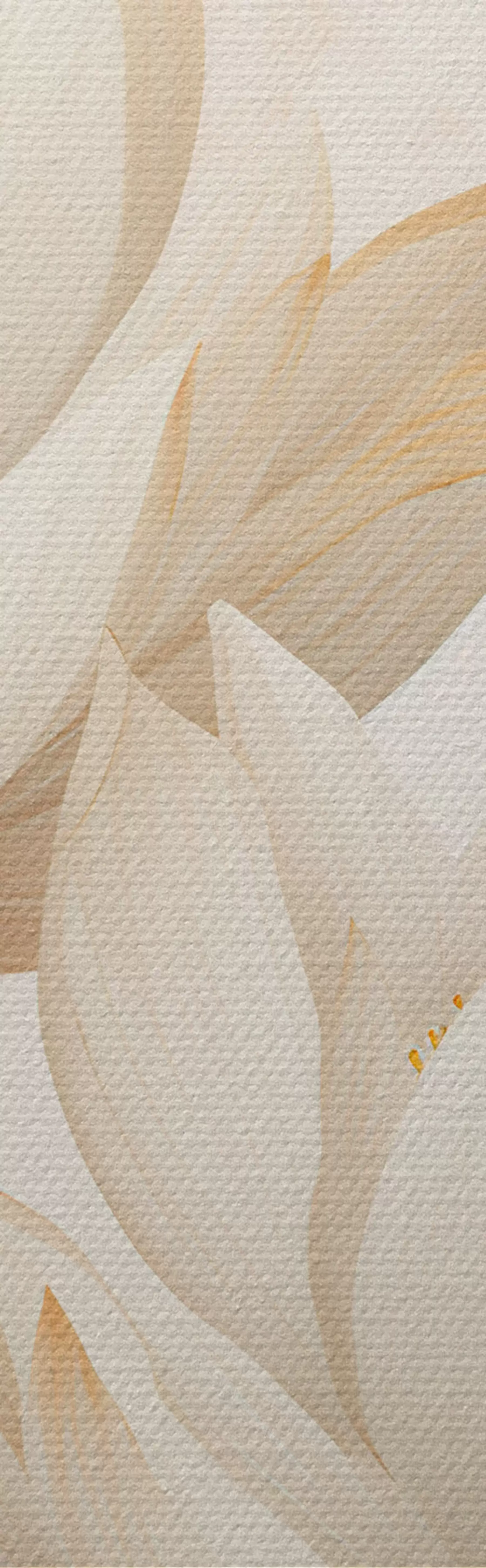 murales Hermosas flores de loto m00861