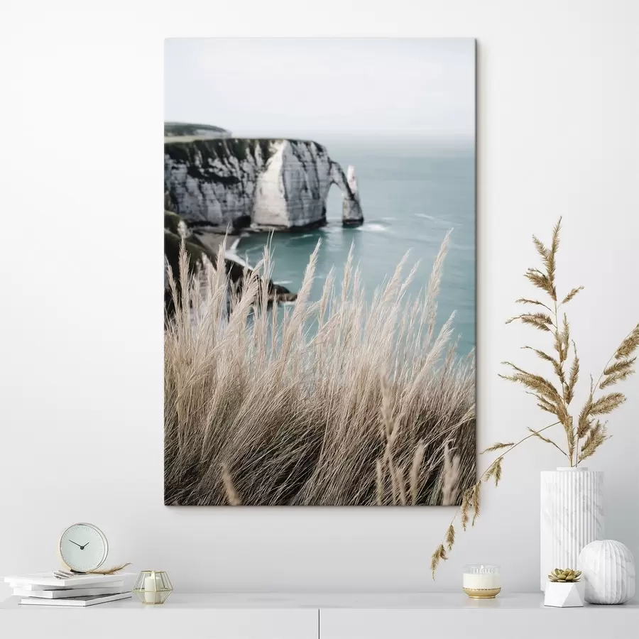 murales Mar y arco de roca, vista a través de la hierba seca s46142