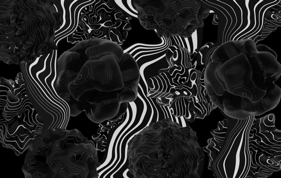 wall murals abstract organic shapes in 3D style in black tones with white stripes w04628