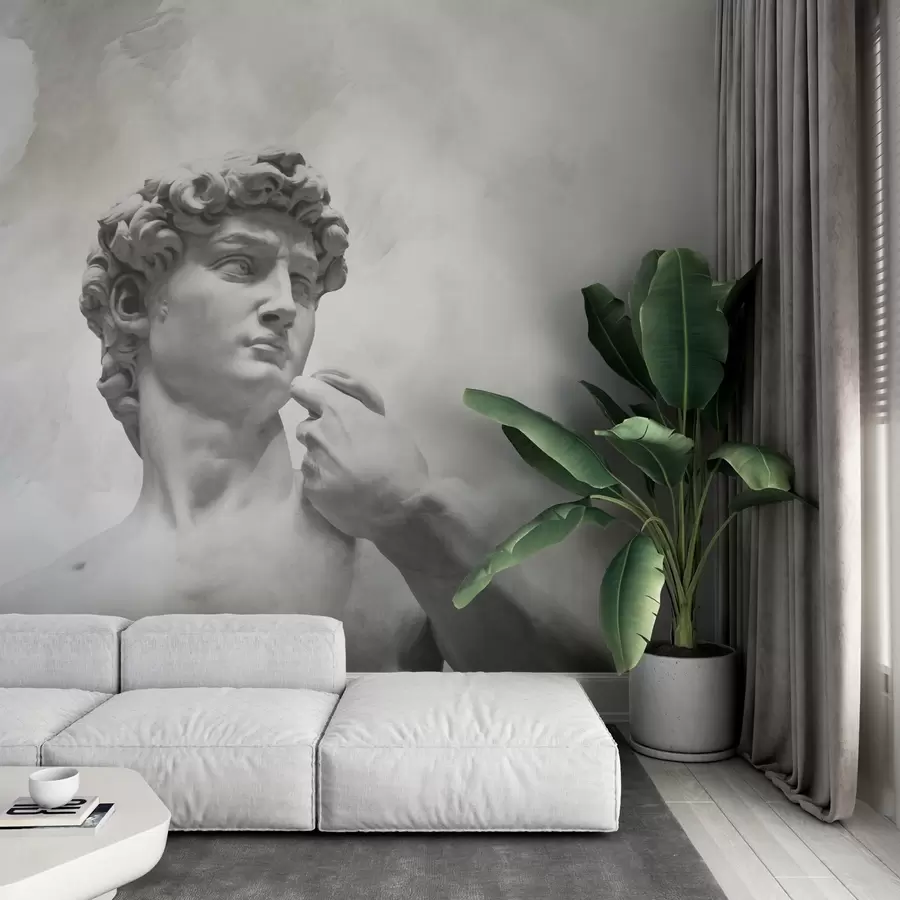 Wall Mural Photo Wallpaper Renaissance Spirit w04767