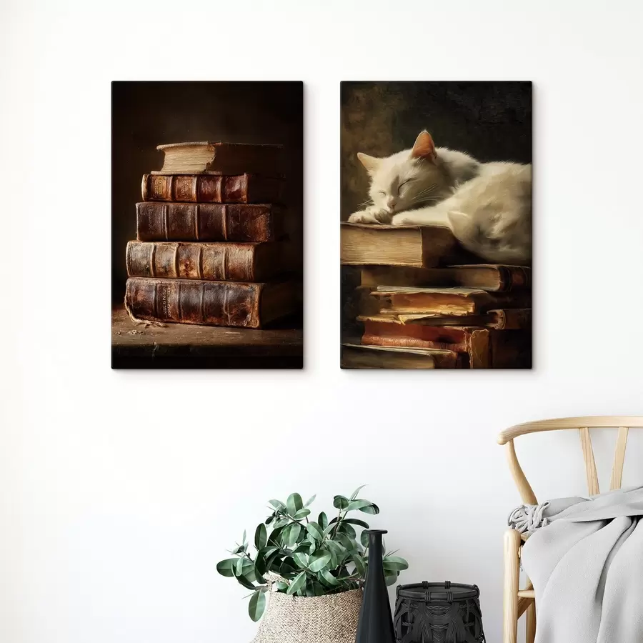 murales Gato sobre libros m00918