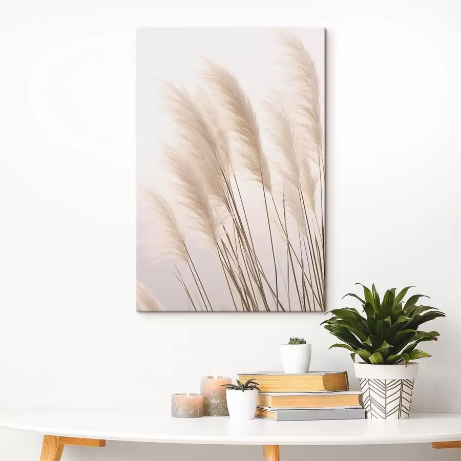 wall murals Light grasses with fluffy tops on a pale background s46179