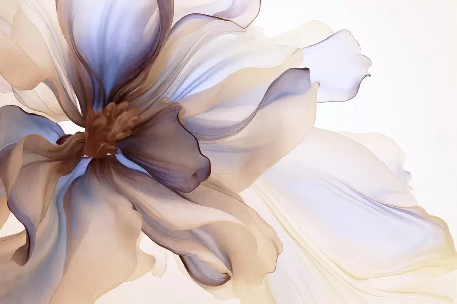 peintures murales Fleur détaillée à grande texture avec des pétales blancs, bleus et bruns, sur fond blanc w09498