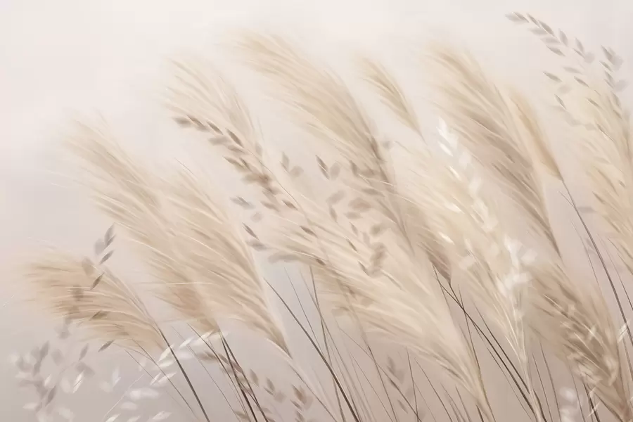 Wall Mural Photo Wallpaper Pampas w04849