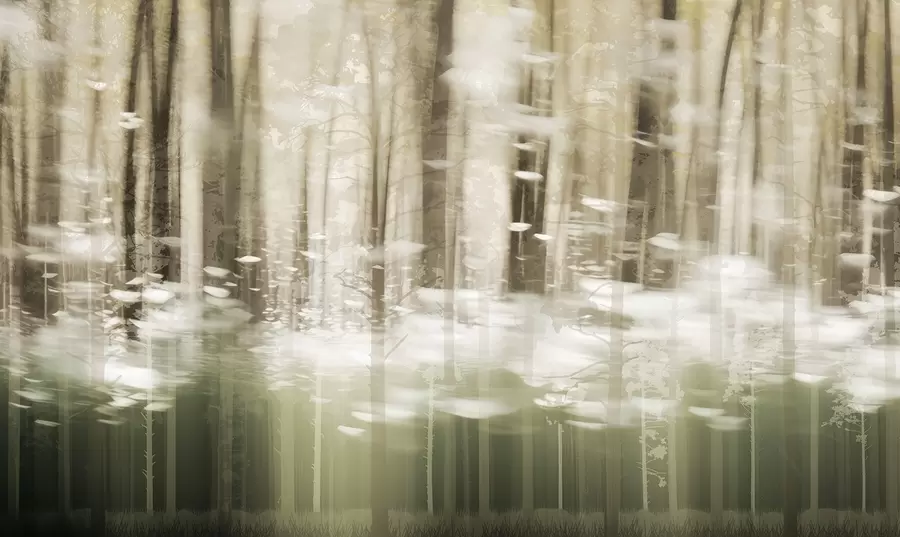 wall murals Stylized tree trunks in pastel colors w04844