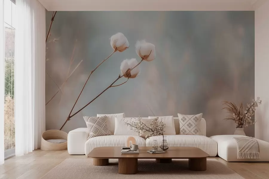 wall murals three cotton flowers on a blurred background w04820