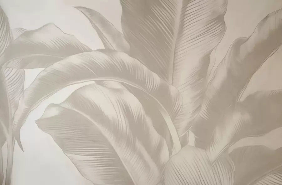 peintures murales Longues feuilles, feuilles de bananier avec un effet usé w04827