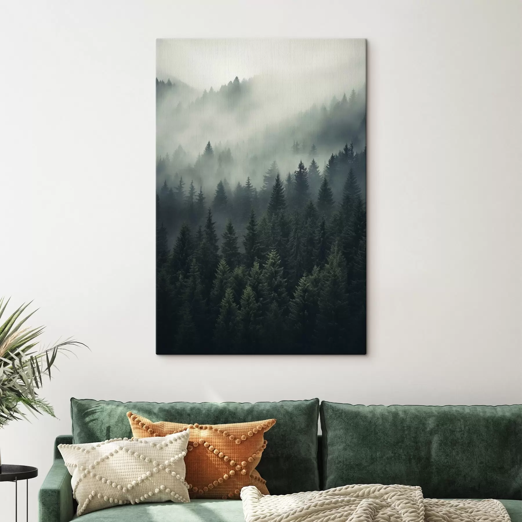 wall murals Fog rolling over dense evergreen forest s46512