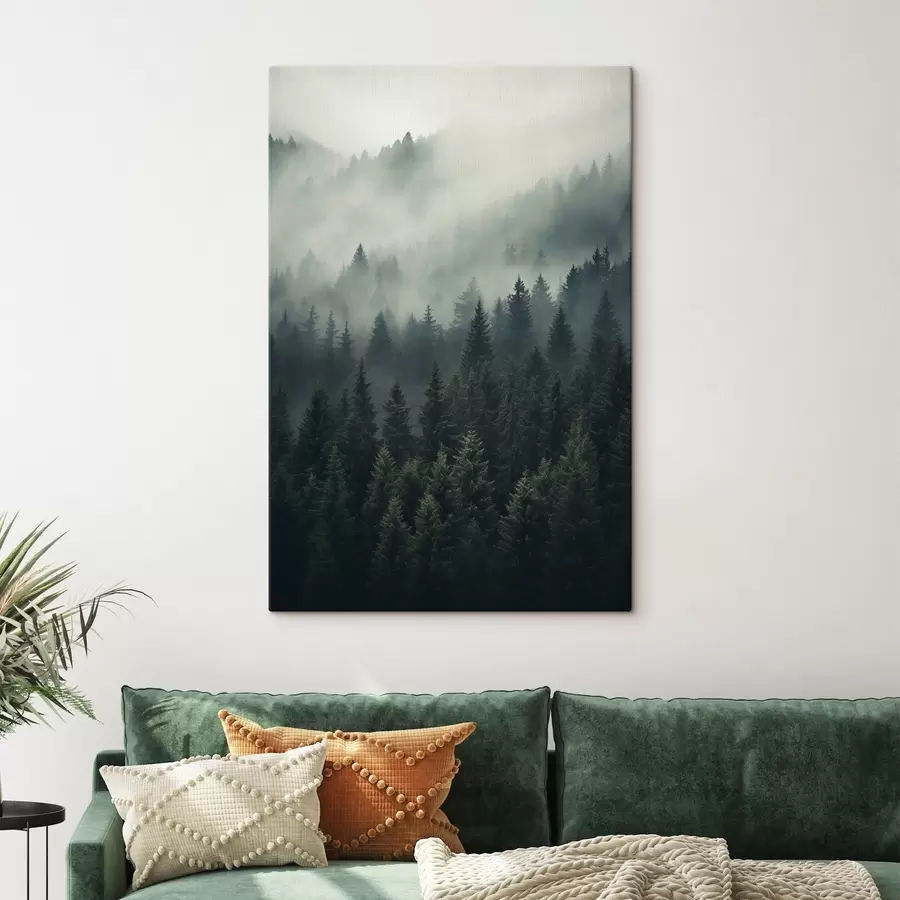 wall murals Fog rolling over dense evergreen forest s46512