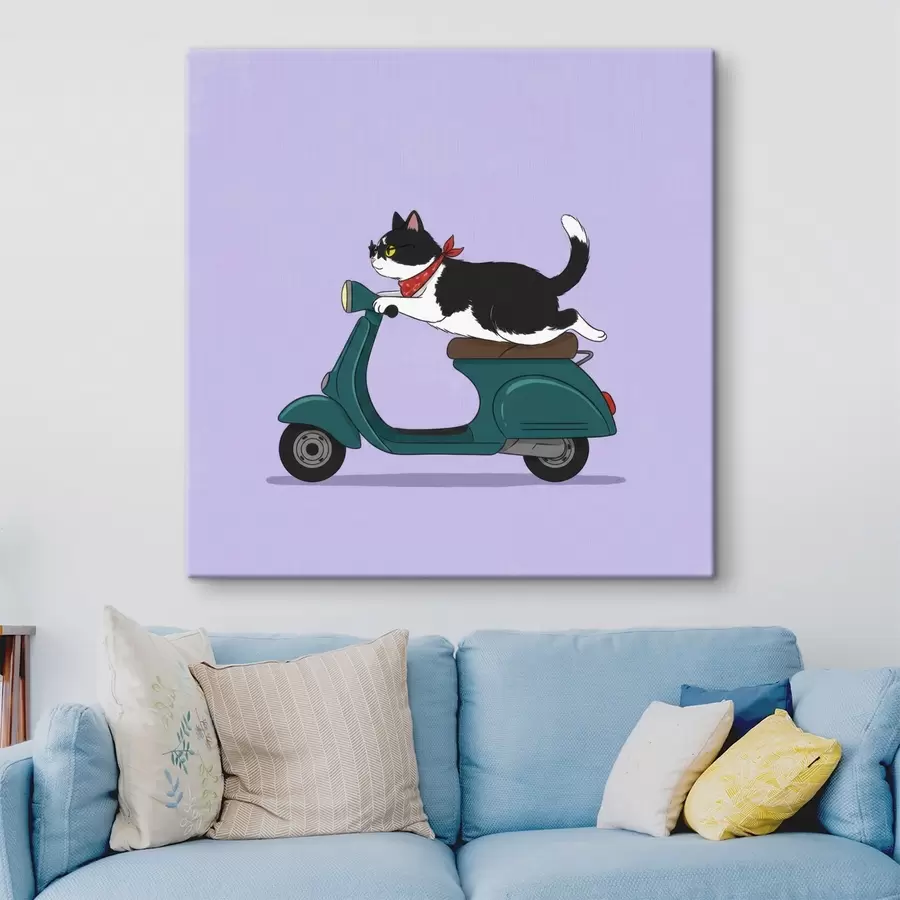 murales Gato en una motocicleta s46847