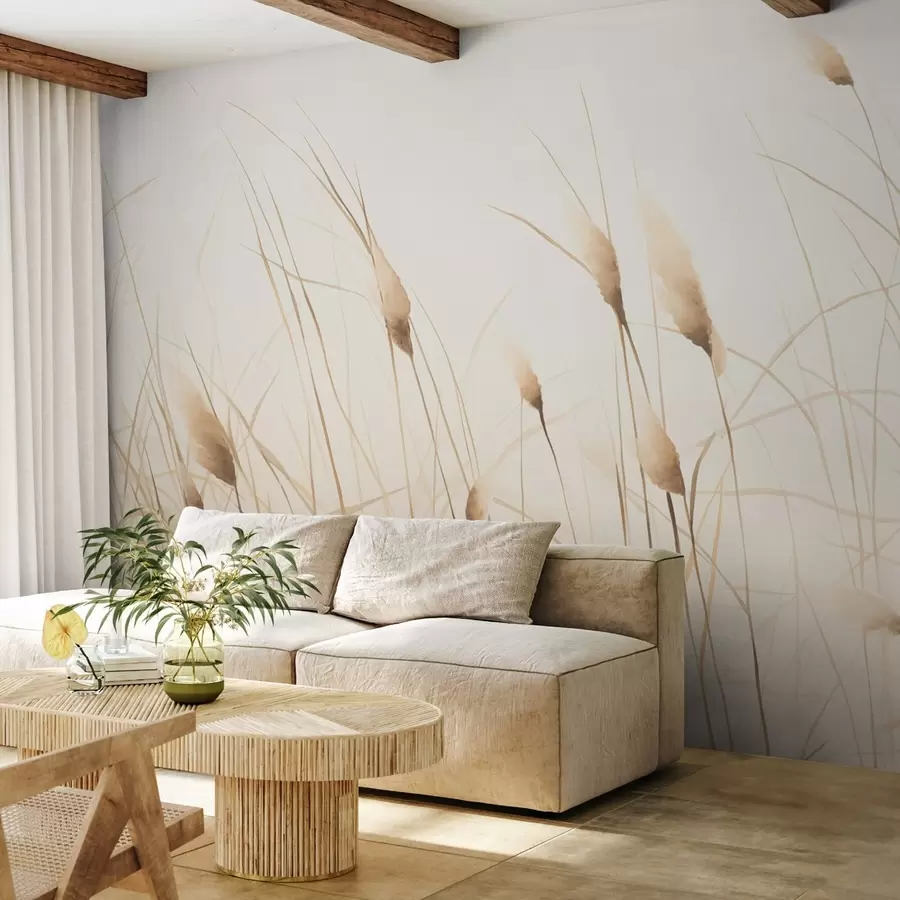 Wall Mural Photo Wallpaper Pampas w04526