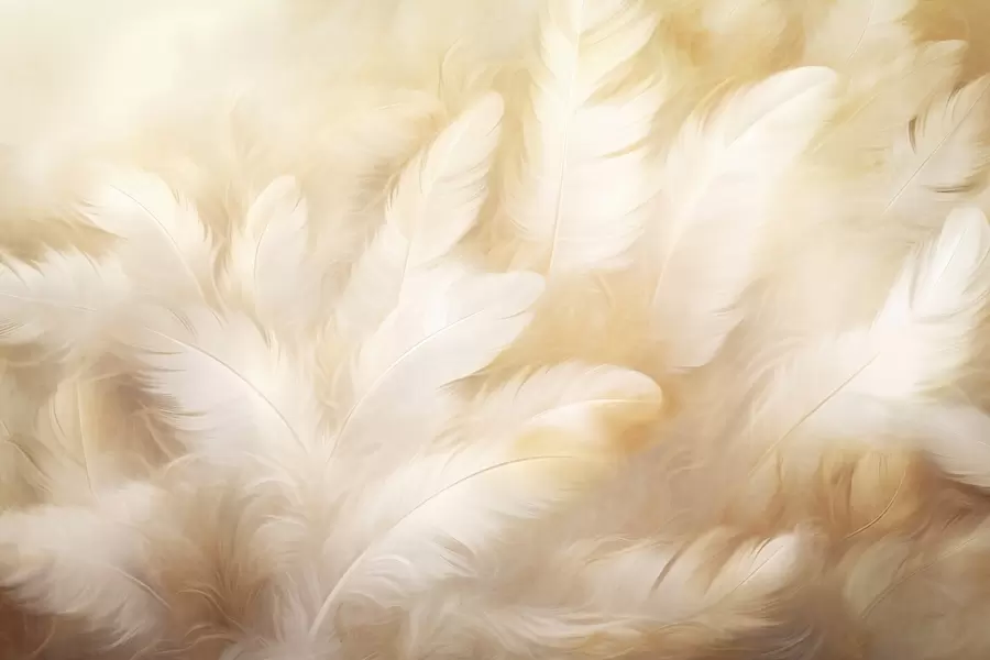 wall murals White and yellow feathers with soft texture w09606