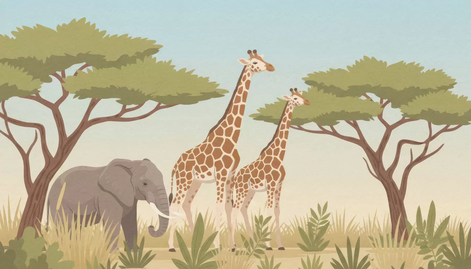 peintures murales Animaux de la jungle w05041