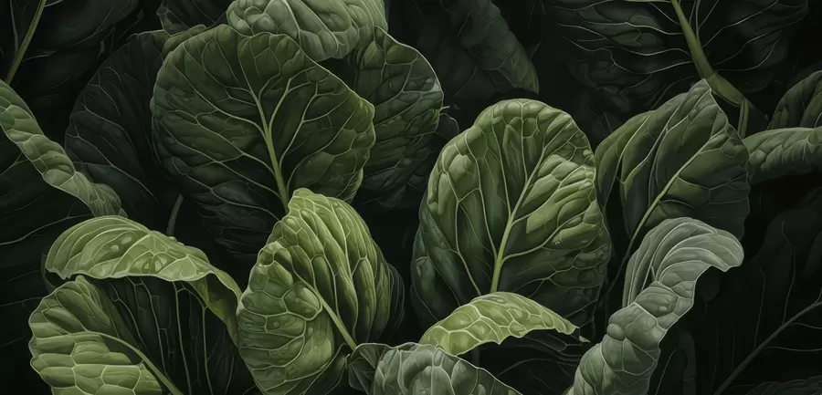 murales Hojas verdes juguetonas w05043