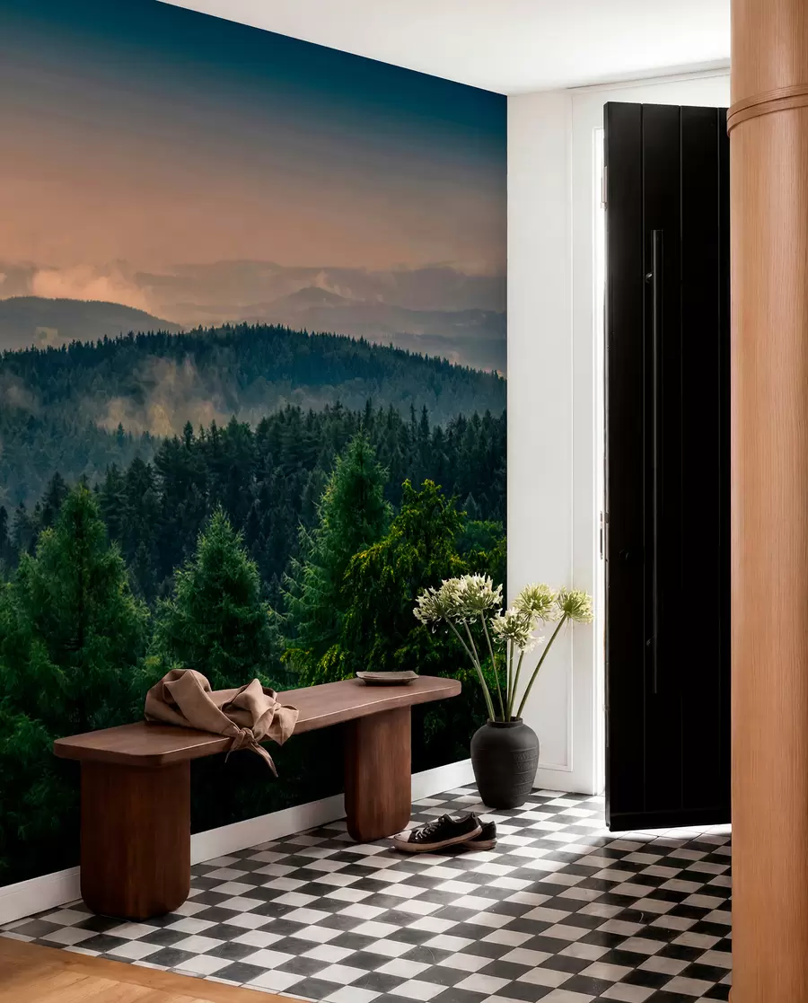 peintures murales Arbres d'arbres dans le brouillard u72174