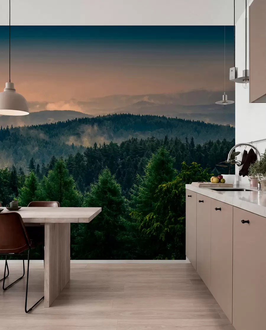 wall murals Trees of trees in the fog u72174