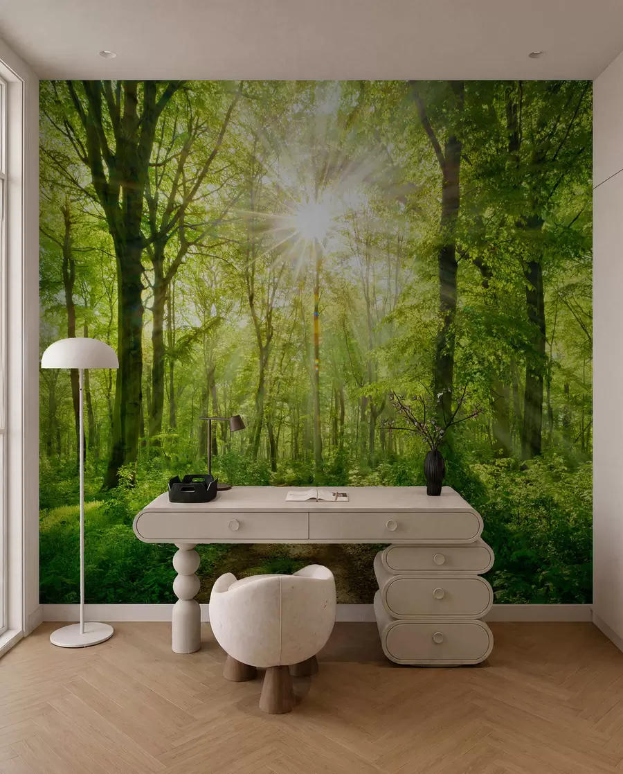 Wall Mural Photo Wallpaper Path in the sunny forest u22252