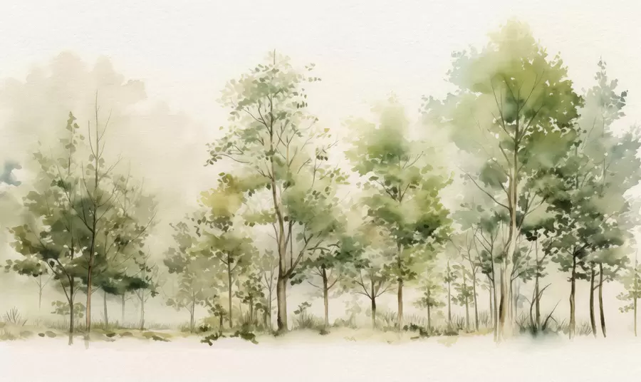 wall murals Watercolor deciduous forest w05180