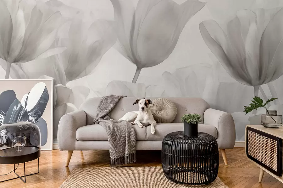 wall murals Delicate tulips w09699v1