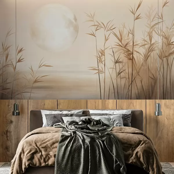 Dernières créations