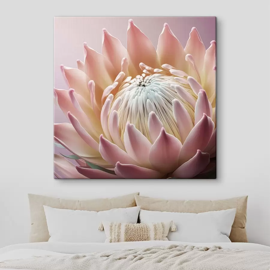 wall murals Macro flower, Protea s47898