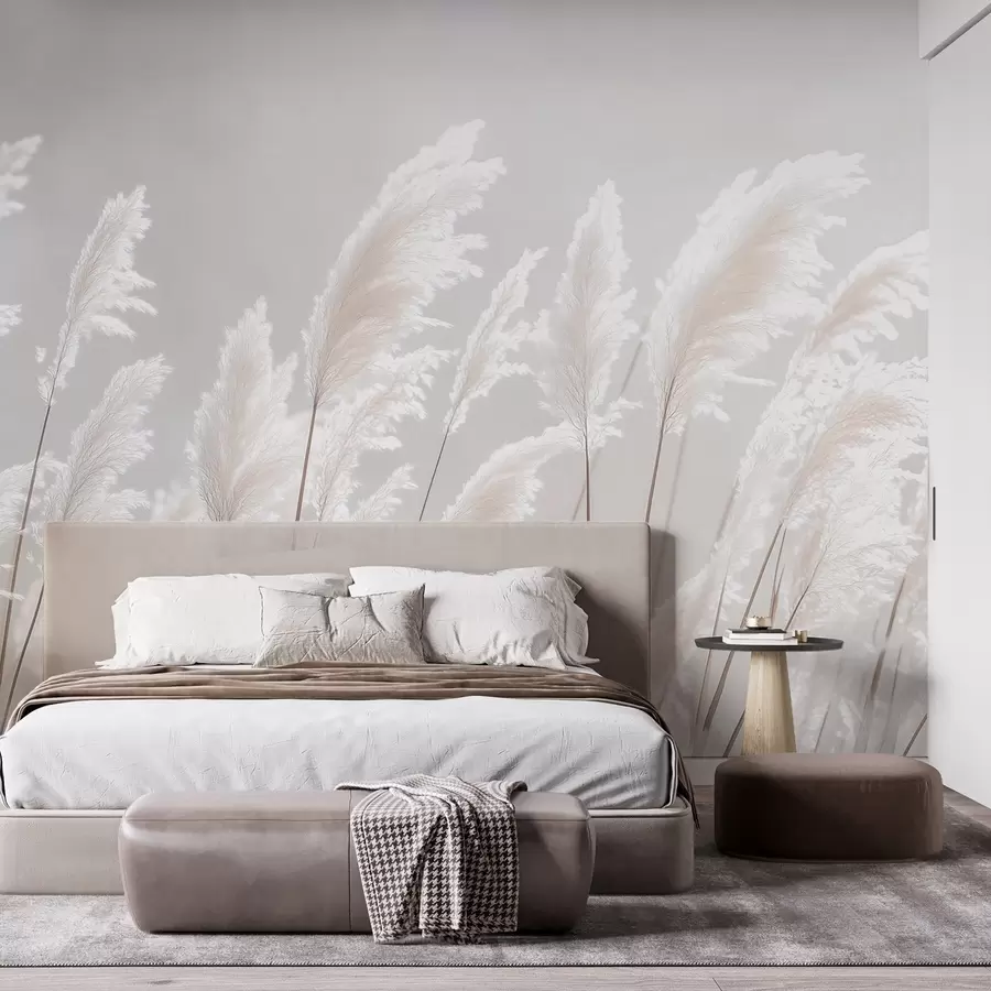 Wall Mural Photo Wallpaper Soft white pampas grass in gentle morning light w09717