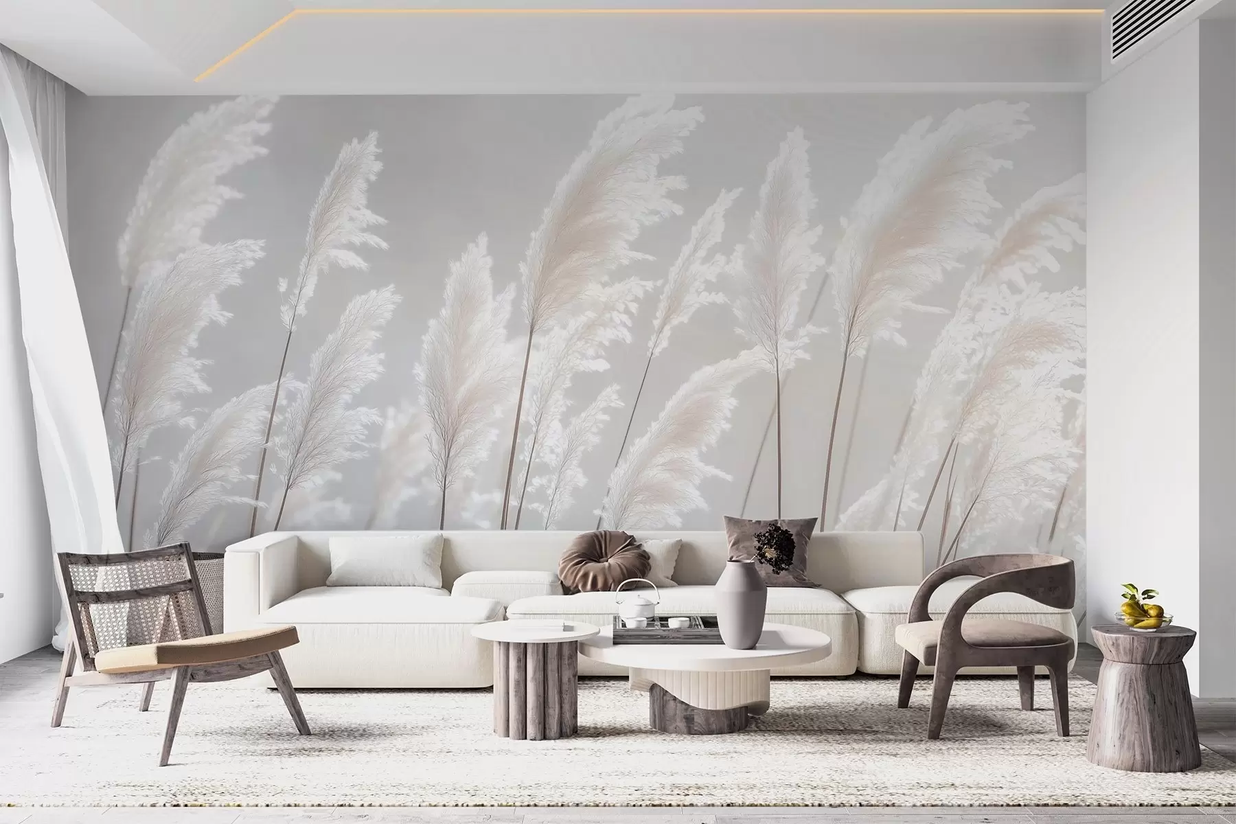 Wall Mural Photo Wallpaper Soft white pampas grass in gentle morning light w09717