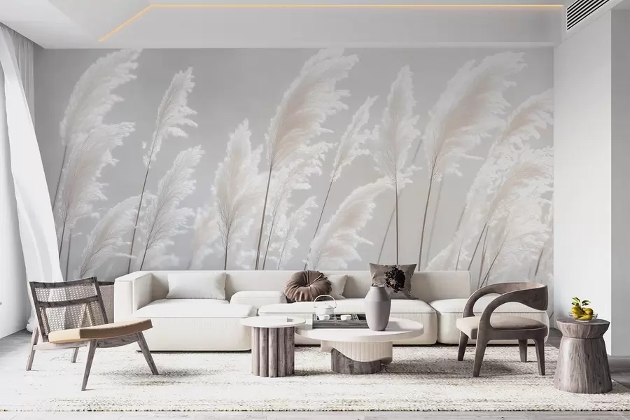 Wall Mural Photo Wallpaper Soft white pampas grass in gentle morning light w09717