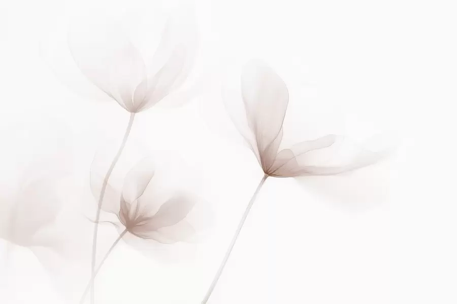 wall murals Airy beige flowers in minimalist light style w09734
