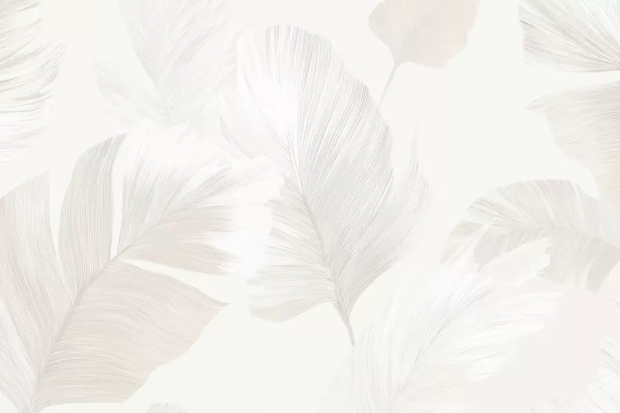 peintures murales Plumes douces couleur ivoire dans des tons beige laiteux w09563