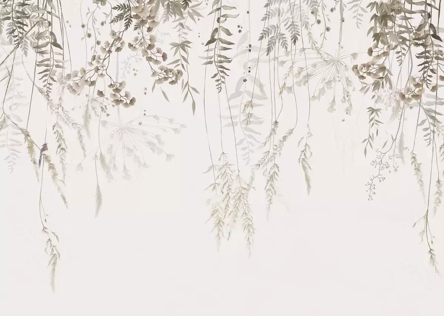 wall murals Hanging wild plants on a light background w05320