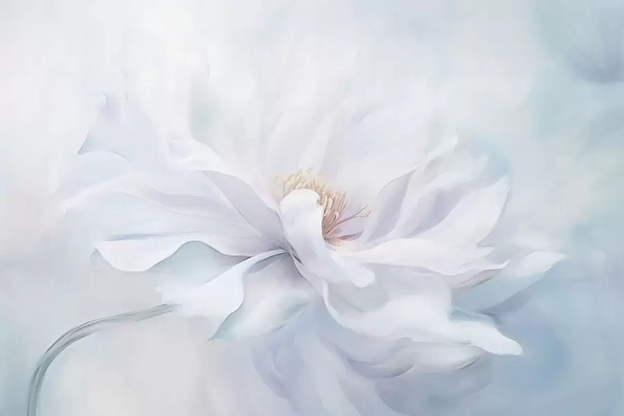 Wall Mural Photo Wallpaper Soft white flower with flowing petals on blue background w05354