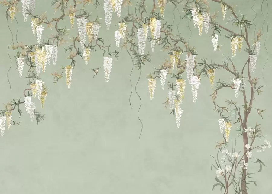 peintures murales Des branches fleuries avec des fleurs blanches et des oiseaux sur fond vert w05394