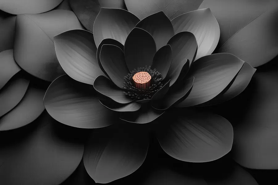 peintures murales Fleur noire minimaliste avec des pétales et un cœur aux tons chauds qui contraste w09721