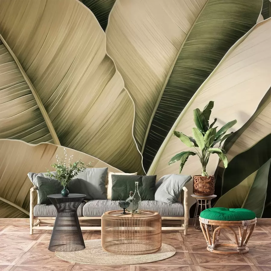 Wall Mural Photo Wallpaper Banana leaves, long leaves w05403