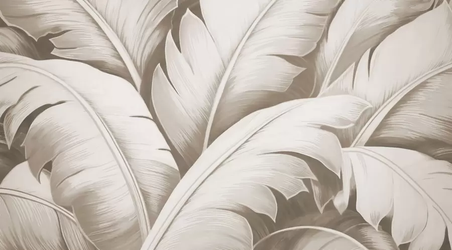 peintures murales Grandes feuilles de bananier w04991