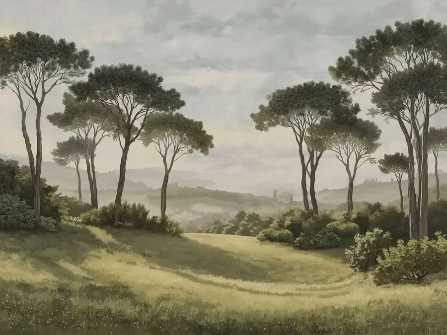 peintures murales Paysage avec des arbres, une prairie et de la brume au loin w05122v1