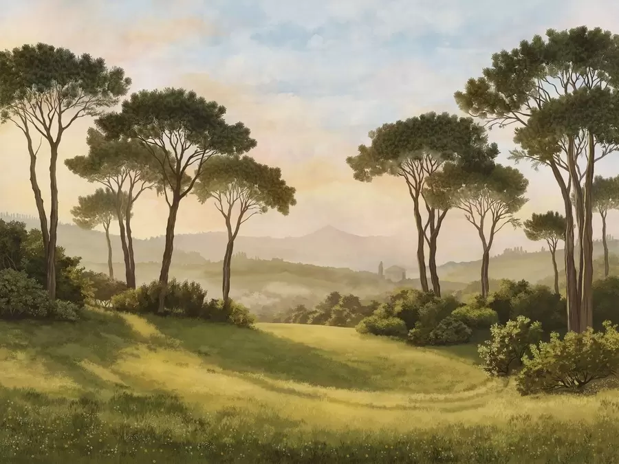 Wall Mural Photo Wallpaper Landscape with trees in warm sunset light w05122