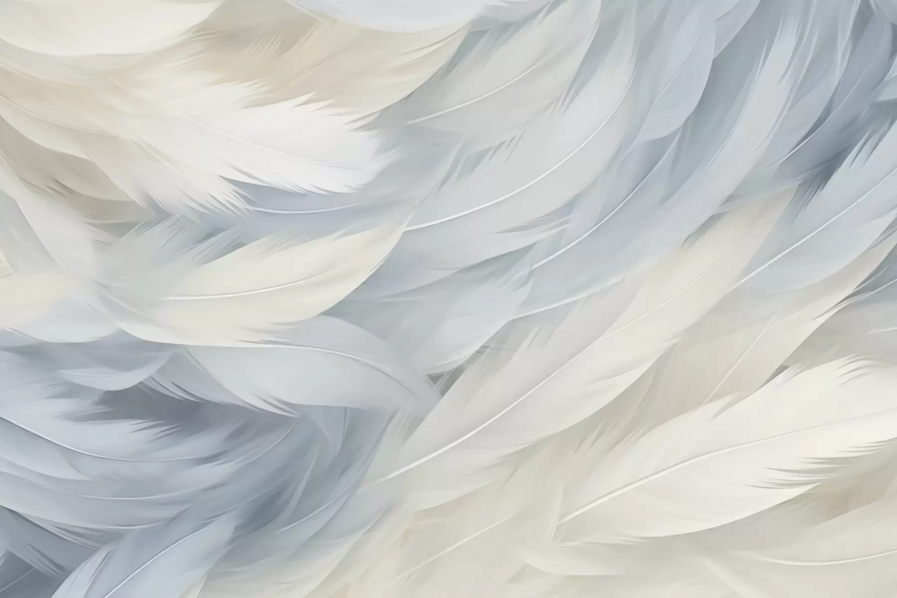 peintures murales Plumes w05470