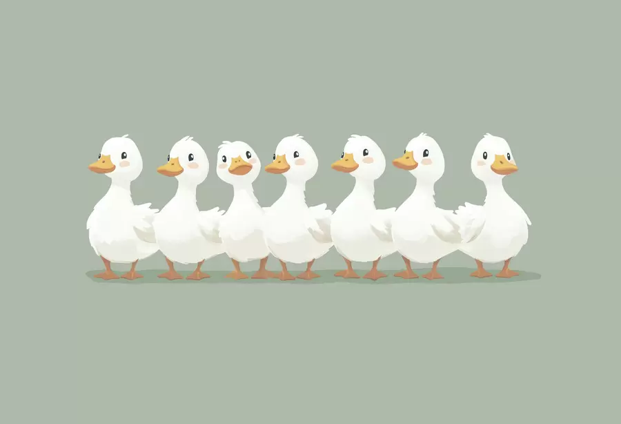 Wall Mural Photo Wallpaper Funny ducklings w05496