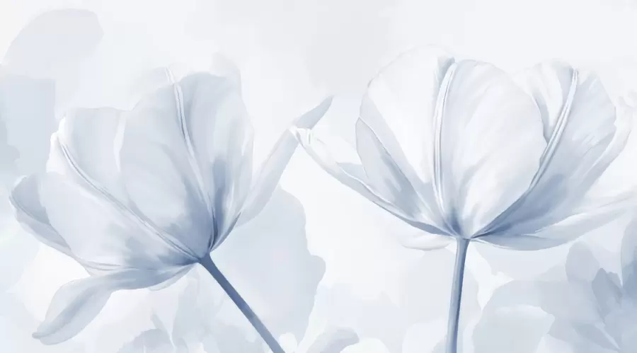 peintures murales Tulipes w05456