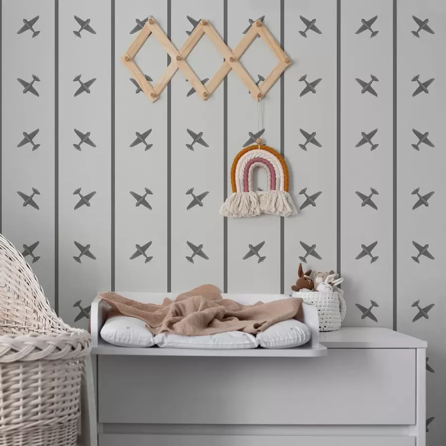peintures murales Avions à rayures dans des tons gris a01169v2