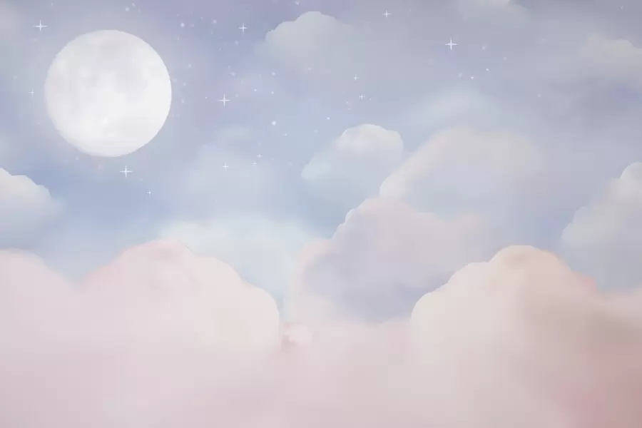 peintures murales La lune dans le ciel w05595