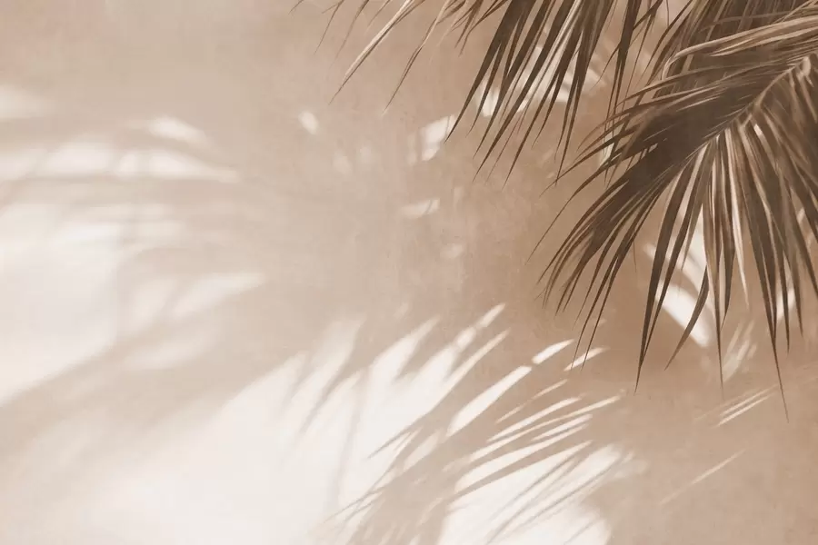 wall murals Textured palm leaves with shadows, a tropical atmosphere, minimalism w09890