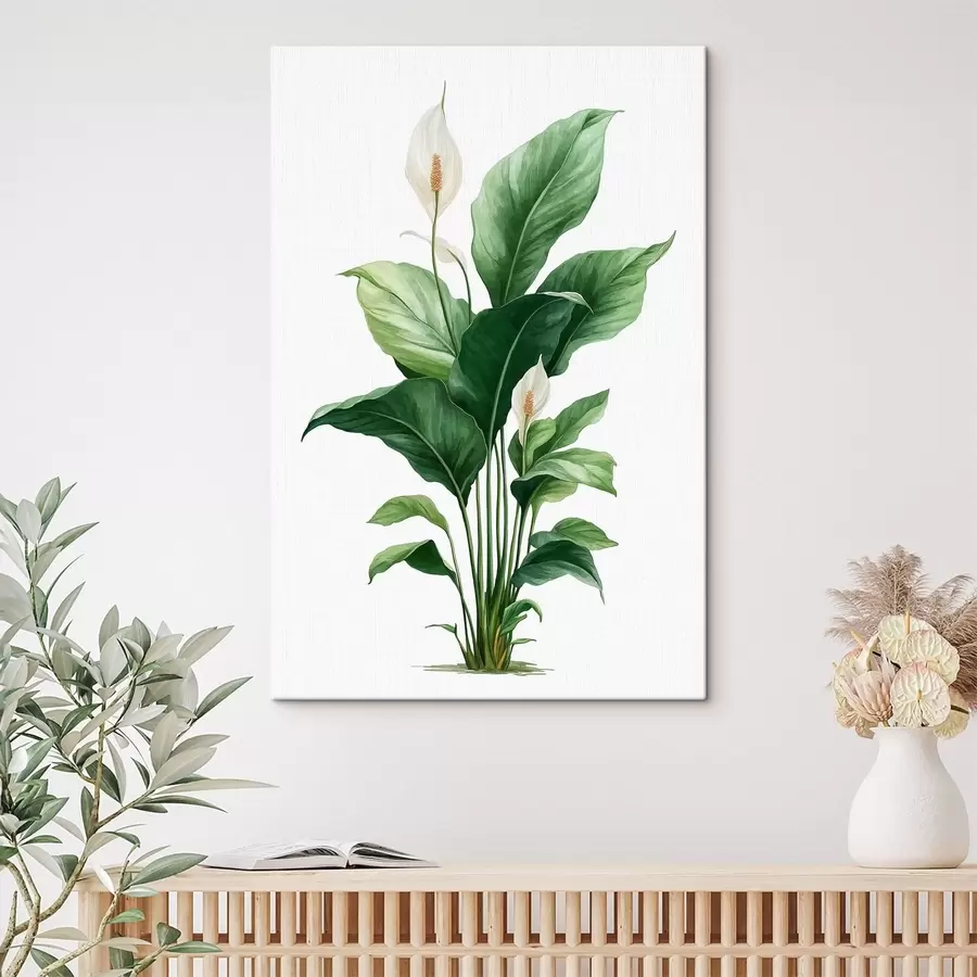 wall murals Peace Lily s49335